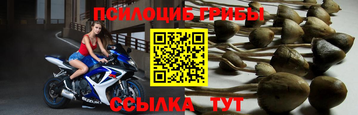 закладка  Псилоцибиновые грибы мухоморы  Вход с VPN  Кызыл 